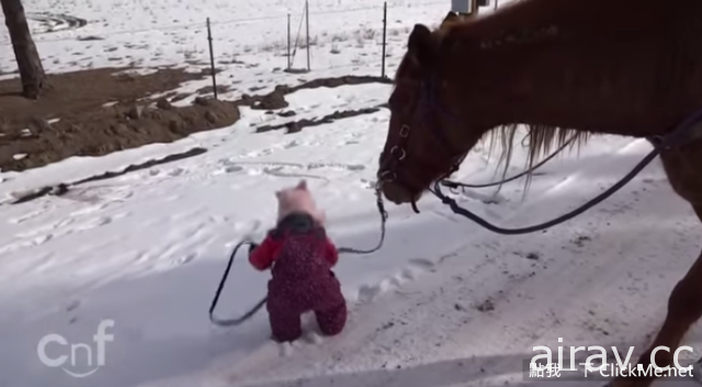 【超溫馨】美國２歲小女娃遛馬記！溫馨模樣萌翻全世界