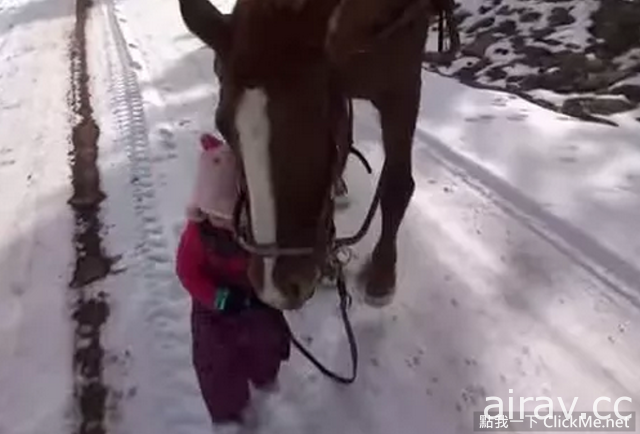 【超溫馨】美國２歲小女娃遛馬記！溫馨模樣萌翻全世界