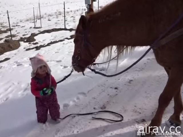 【超溫馨】美國２歲小女娃遛馬記！溫馨模樣萌翻全世界