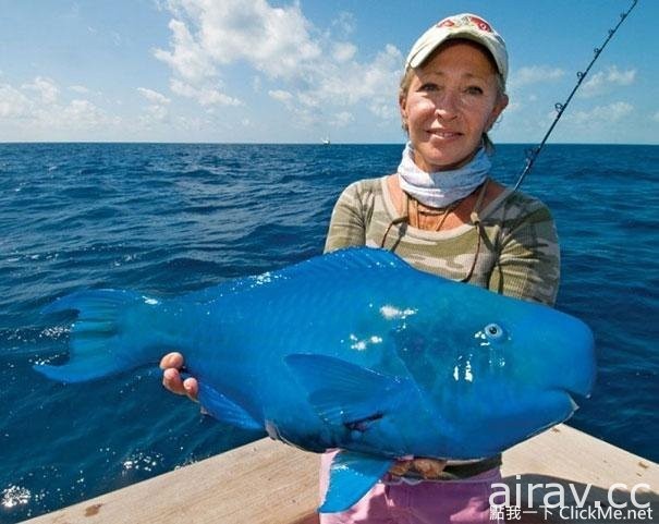 《２１種你可能沒看過的奇妙生物》這些都是你所不知道的存在！