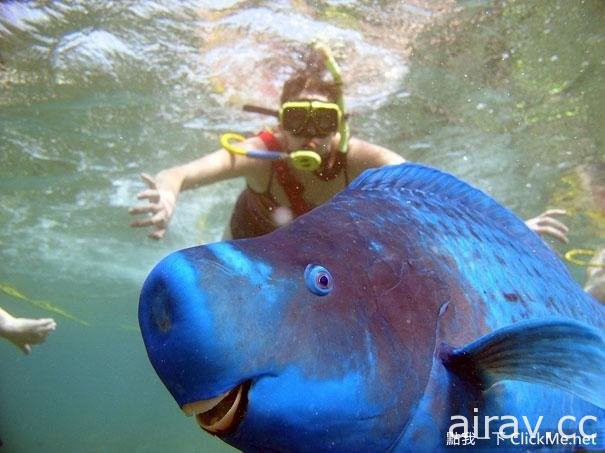 《２１種你可能沒看過的奇妙生物》這些都是你所不知道的存在！