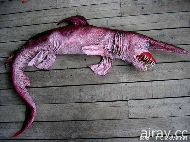 《２１種你可能沒看過的奇妙生物》這些都是你所不知道的存在！