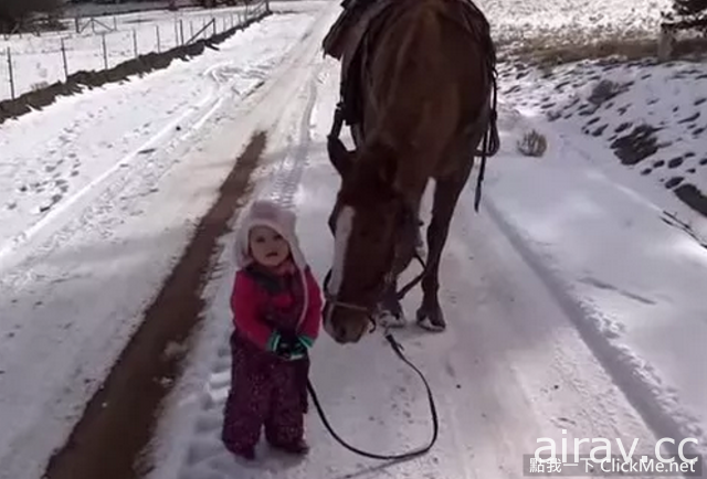 【超溫馨】美國２歲小女娃遛馬記！溫馨模樣萌翻全世界