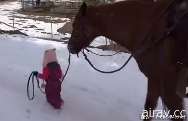 【超溫馨】美國２歲小女娃遛馬記！溫馨模樣萌翻全世界