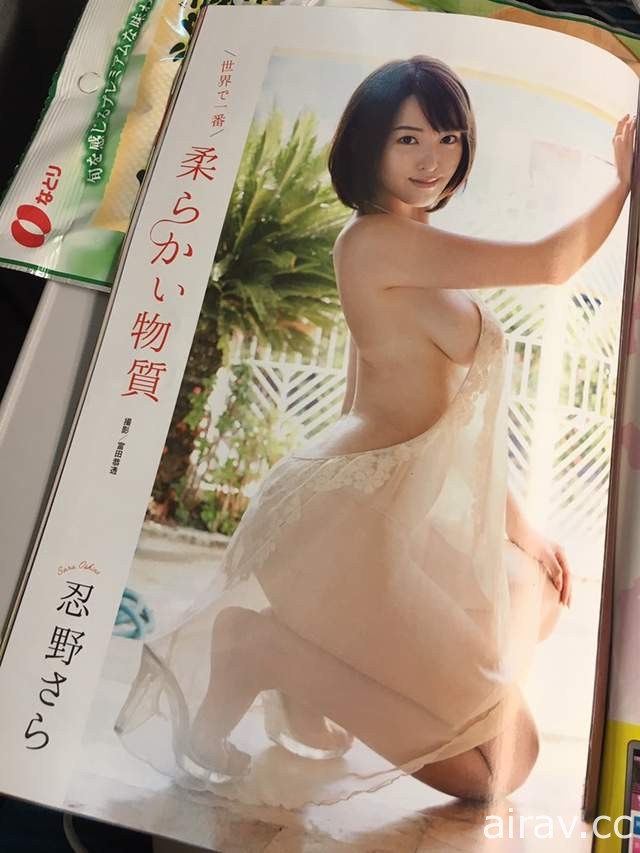 《相撲級寫真女星》含乳量依舊超標的秋季爆乳名單