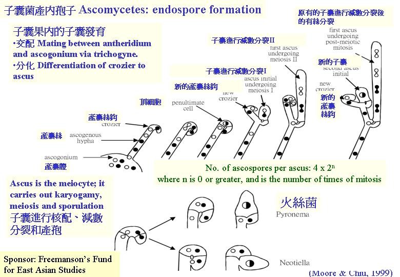 2016傽駁縣特輯 空口無憑