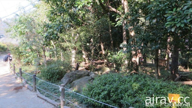 治癒系小動物王國登場！日本「松鼠花園」讓所有遊客萌到流鼻血！