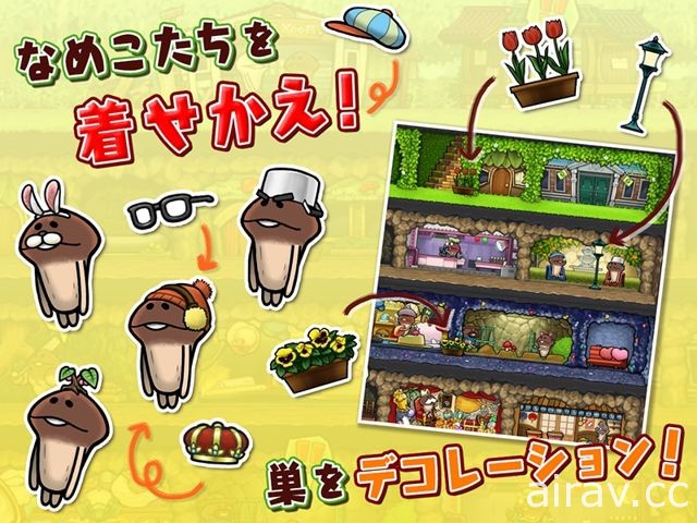 築巢模擬遊戲《菇菇的巢》事前登錄活動開始 最新 PV 同步曝光