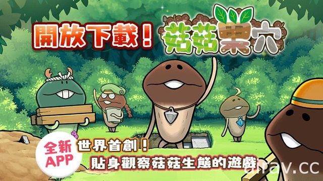 巢穴經營遊戲《菇菇巢穴》正式於雙平台開放下載 仔細研究這些菇菇吧！