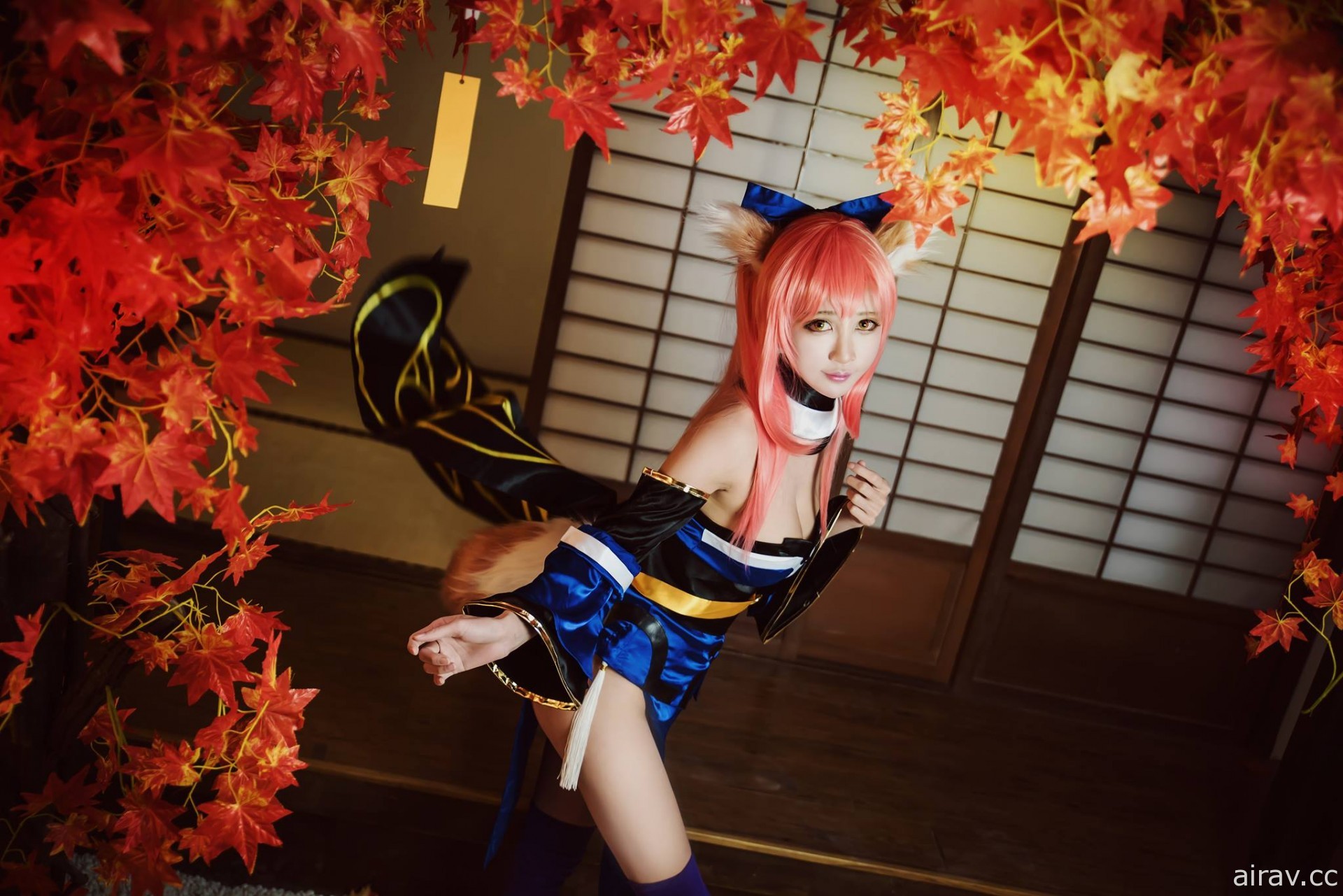 Fate/Grand Order—玉藻前Tamamo no Mae