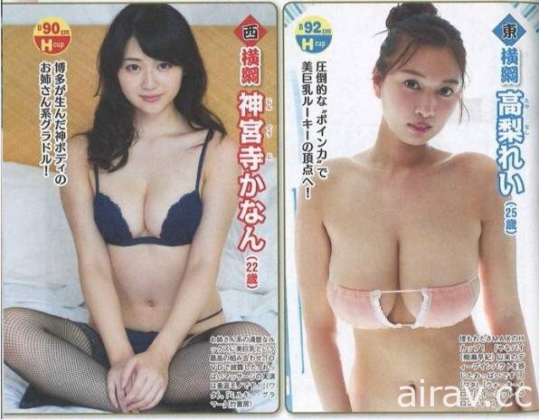 《相撲級寫真女星》次世代新人春季爆乳排行榜