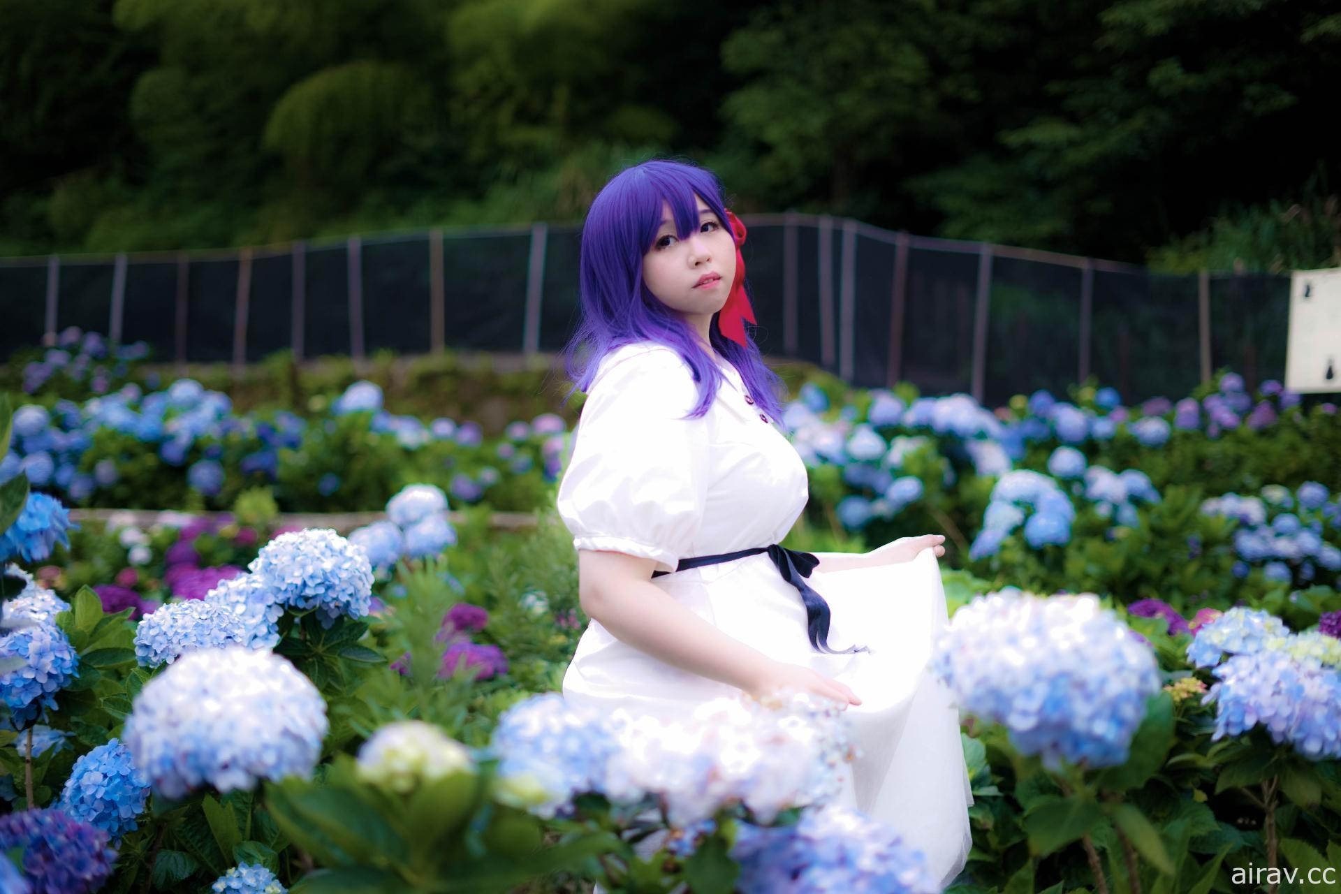 fate/stay night heaven&#039;s feel ∥ 间桐 樱