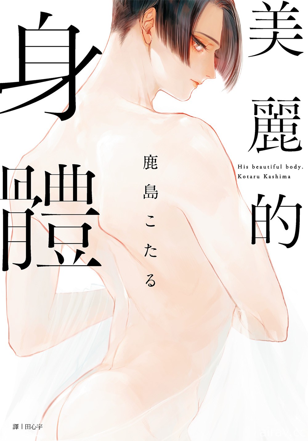 【書訊】尖端 11 月漫畫、輕小說新書《兔子就是正義》《忍物語》等作