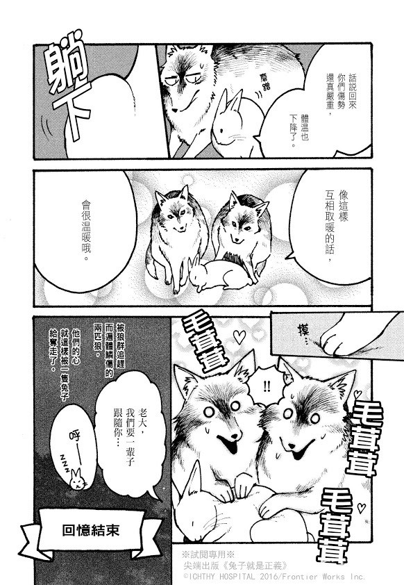 狼认兔子当老大？！翻转食物链的爆笑漫画《兔子就是正义》中文版在台上市