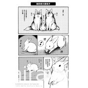 狼认兔子当老大？！翻转食物链的爆笑漫画《兔子就是正义》中文版在台上市