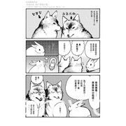 狼认兔子当老大？！翻转食物链的爆笑漫画《兔子就是正义》中文版在台上市