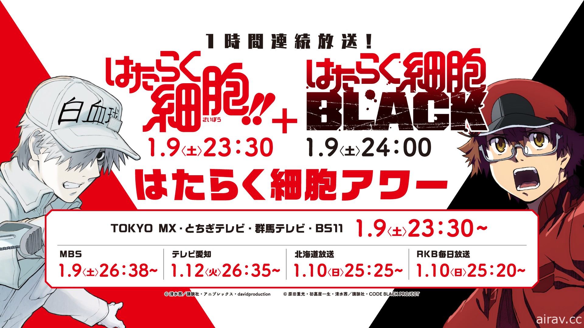 動畫《工作細胞 BLACK》釋出新視覺圖與第二支宣傳影片等情報 預計 1 月 9 日開播