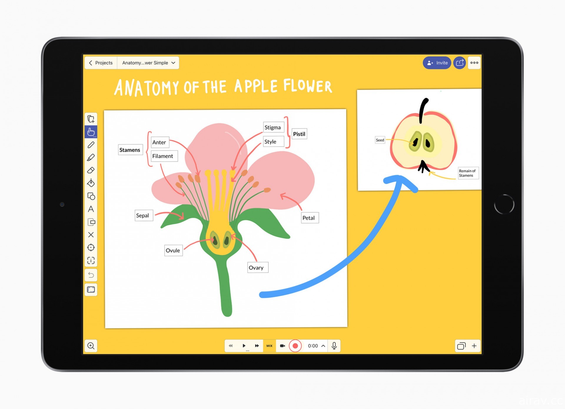 Apple 公布 App Store 2020 年度最佳榜單 《原神》《符文大地傳說》等作獲肯定