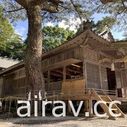 拜《對馬戰鬼》熱賣之賜 對馬和多都美神社大鳥居重建募資專案火速超標！