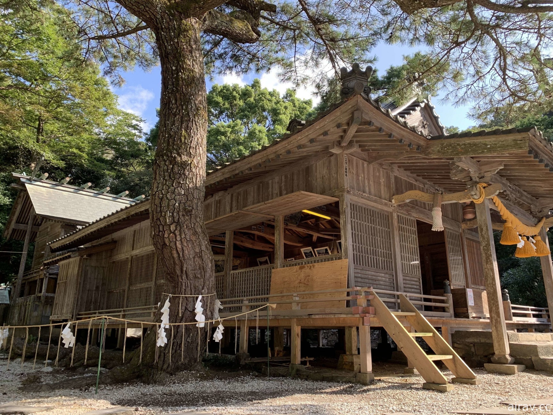 拜《對馬戰鬼》熱賣之賜 對馬和多都美神社大鳥居重建募資專案火速超標！