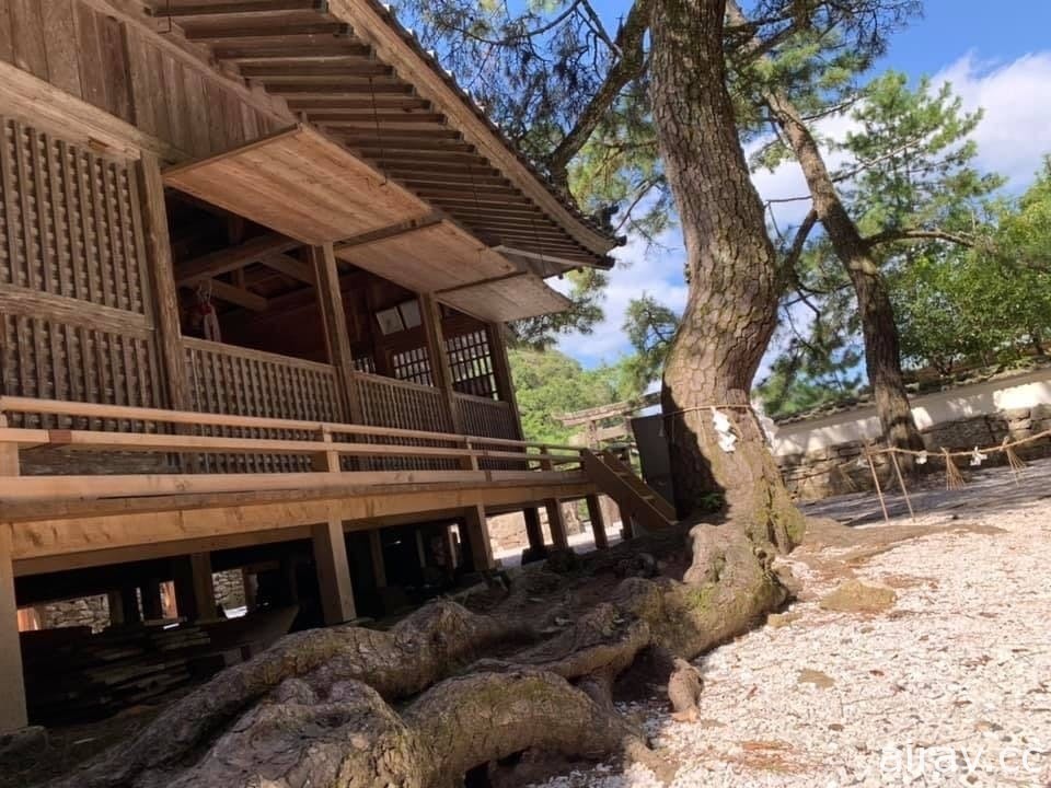 拜《對馬戰鬼》熱賣之賜 對馬和多都美神社大鳥居重建募資專案火速超標！