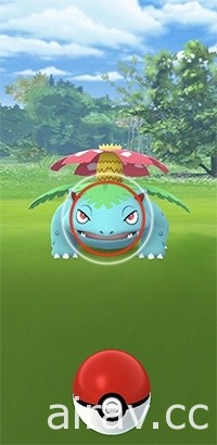 《Pokemon GO》將舉辦《New 寶可夢隨樂拍》聯名慶典活動