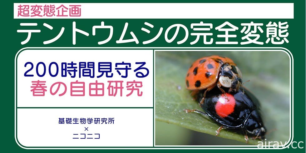 「niconico 網路超會議 2021」24 日起線上開展 透過網路帶來多樣化主題活動