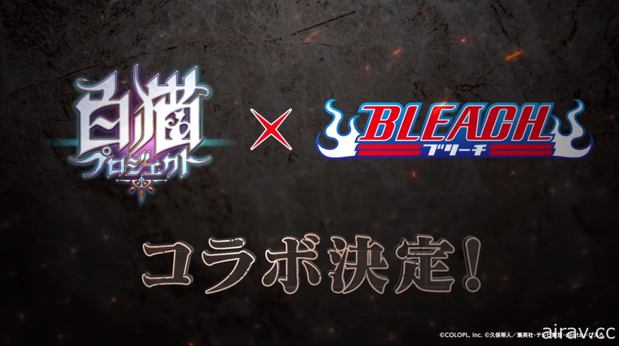 《白貓 Project》日版 x 《BLEACH 死神》合作確認 預定 4 月 27 日揭露相關情報