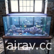 成為專業水族箱飼育員！模擬經營新作《水族飼養員》公開募資頁面