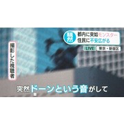 199 km/h！？《勇者鬥惡龍 WALK》「殺戮機器」蒞臨日本職棒埼玉西武獅主場開球