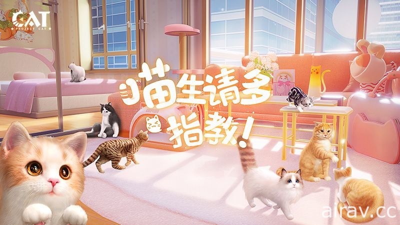 【CJ 21】西山居研發貓咪養成遊戲《Project Cat》曝光 將在展會現場打造巨型貓爬架