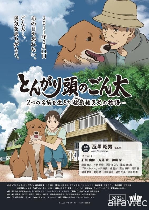 福島受災犬物語《尖頭的權太》動畫電影 6/3 日本上映