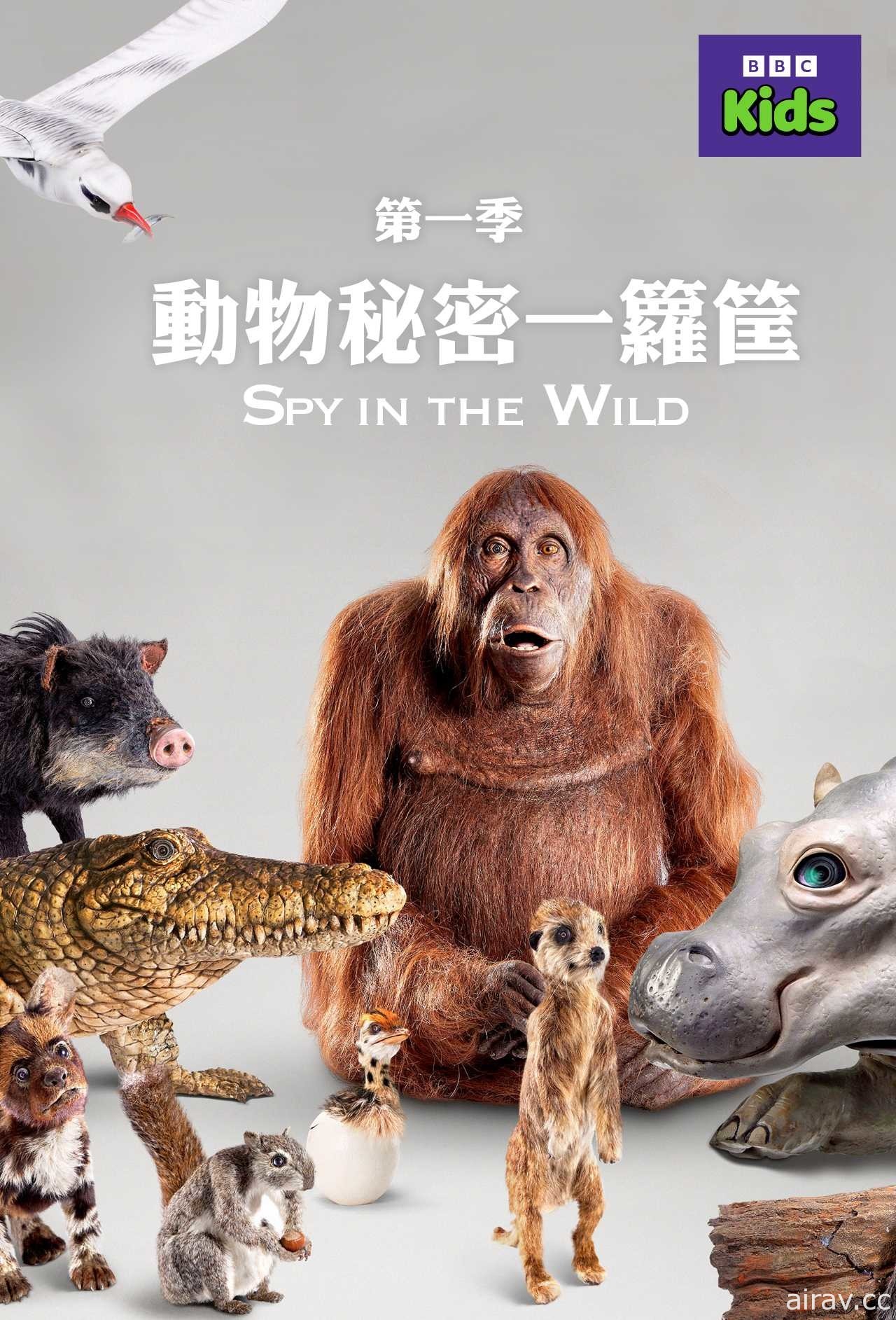 BBC Studios 旗下兒童品牌 BBC Kids 將於 7/1 上線 MyVideo